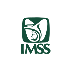 logo_imss.png